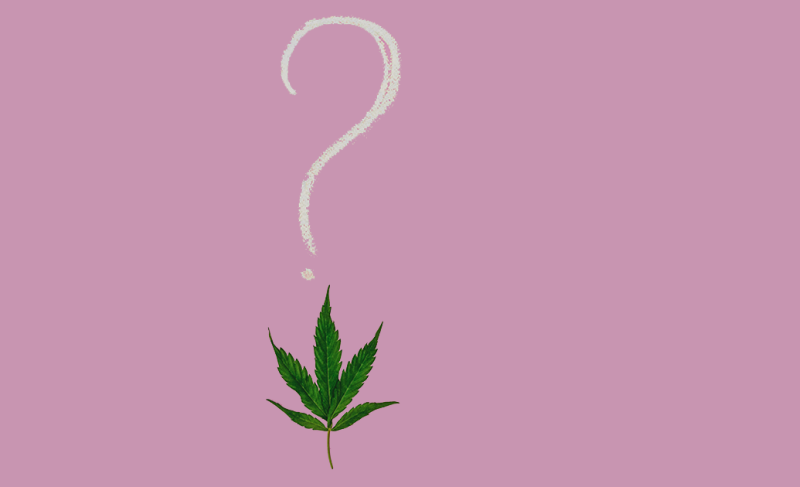 Is using a pot leaf in your logo good for cannabis marketing?