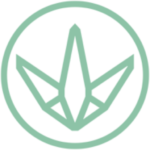 CannaContent logo in mint green